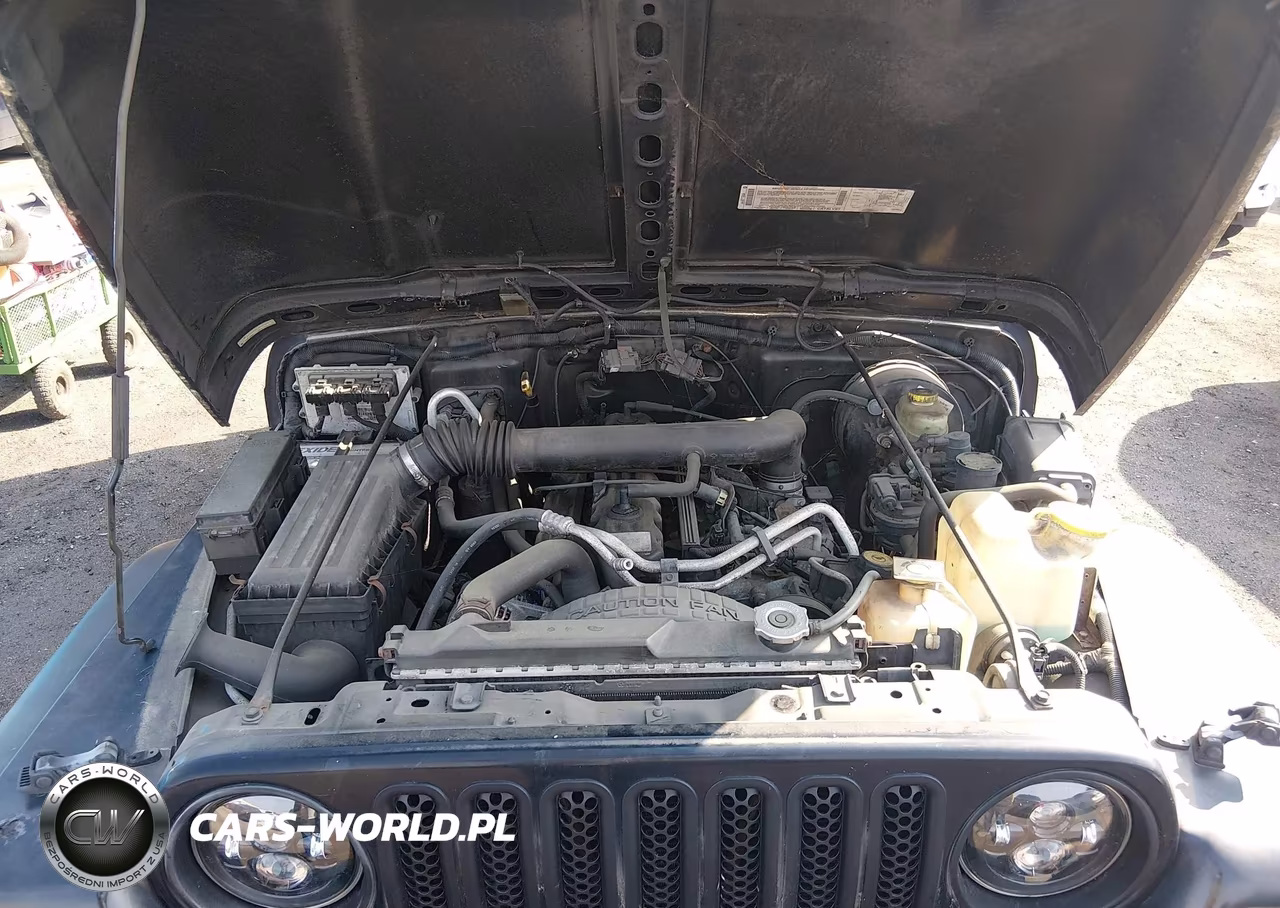2001 Jeep Wrangler Sport VIN:1J4FA49SX1P324403 - 10