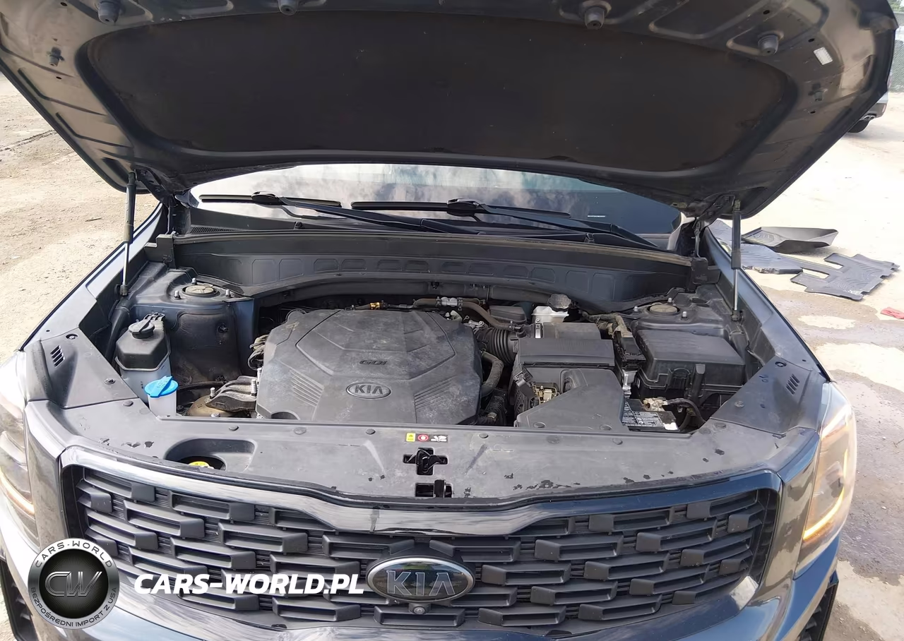 2021 Kia Telluride Sx VIN:5XYP5DHCXMG106056 - 10