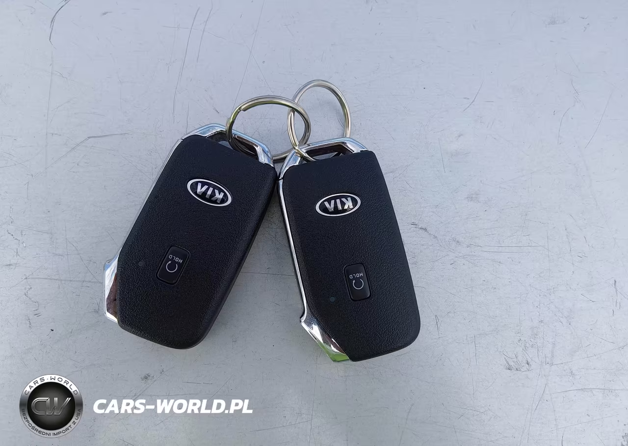 2021 Kia Telluride Sx VIN:5XYP5DHCXMG106056 - 11