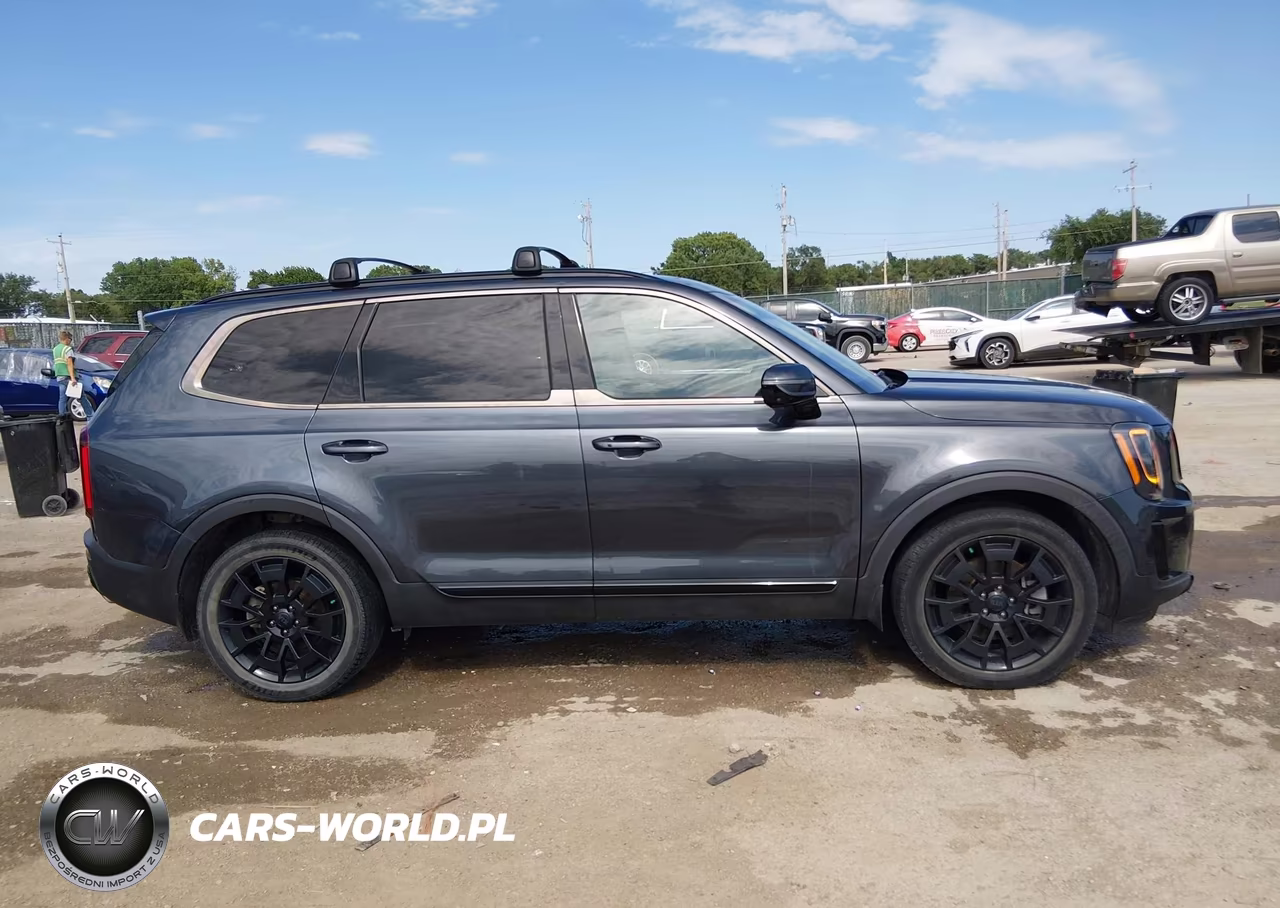 2021 Kia Telluride Sx VIN:5XYP5DHCXMG106056 - 13