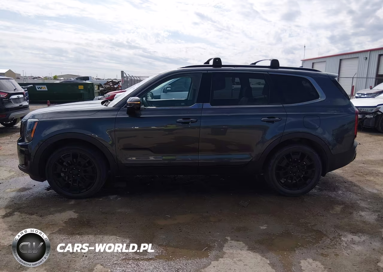 2021 Kia Telluride Sx VIN:5XYP5DHCXMG106056 - 14