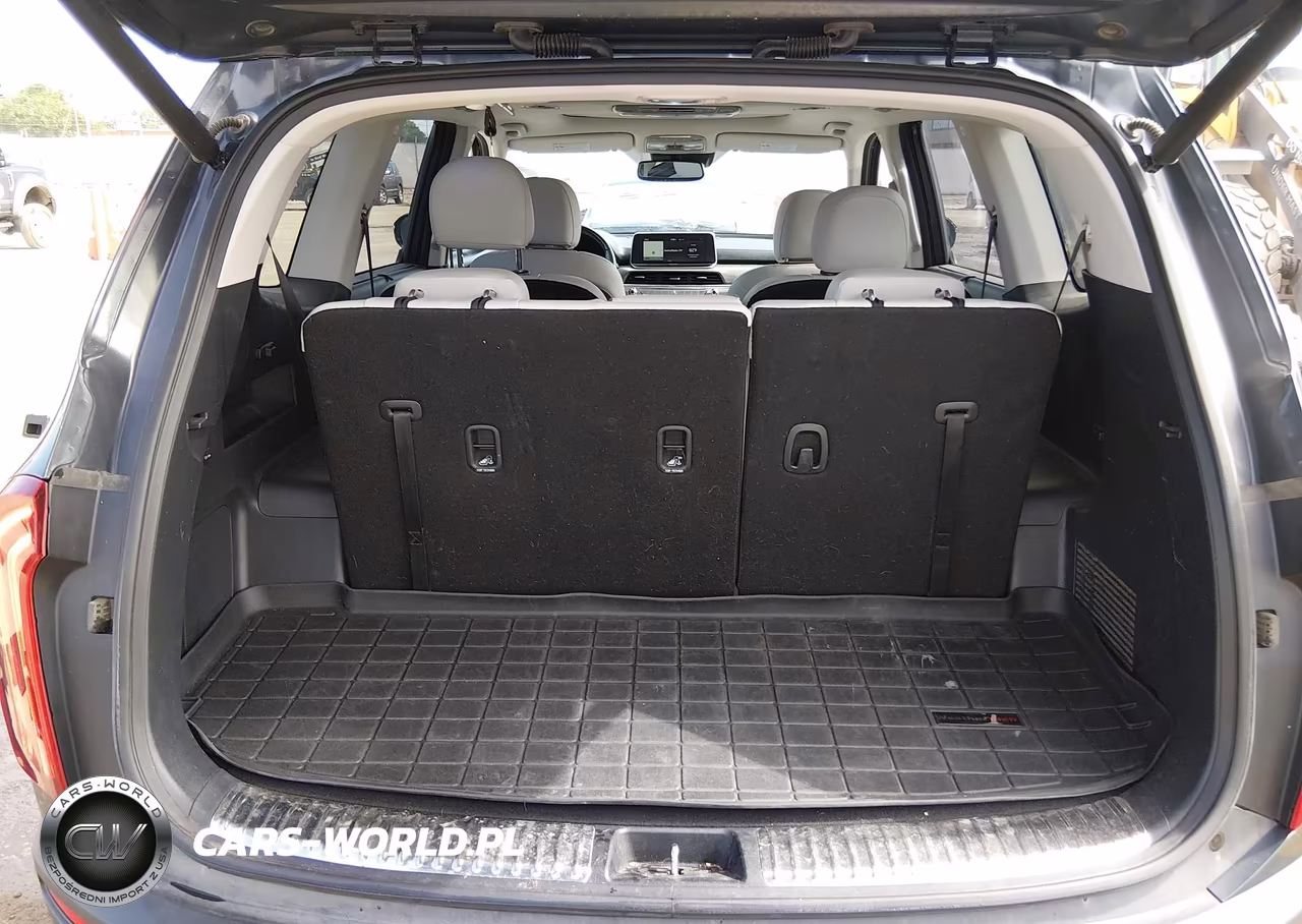 2021 Kia Telluride Sx VIN:5XYP5DHCXMG106056 - 16