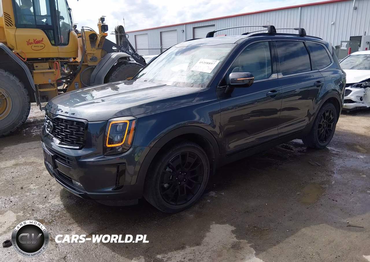 2021 Kia Telluride Sx VIN:5XYP5DHCXMG106056 - 2