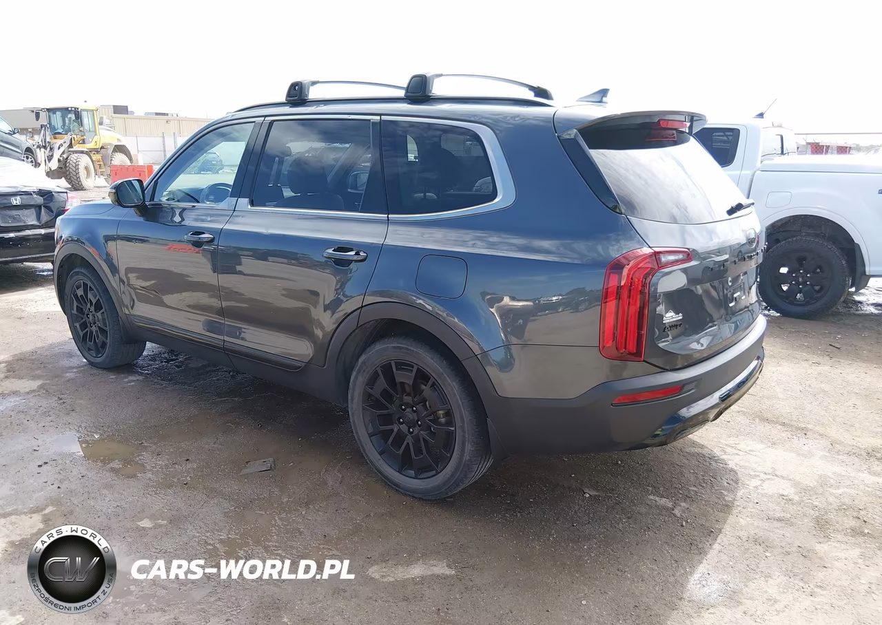2021 Kia Telluride Sx VIN:5XYP5DHCXMG106056 - 3