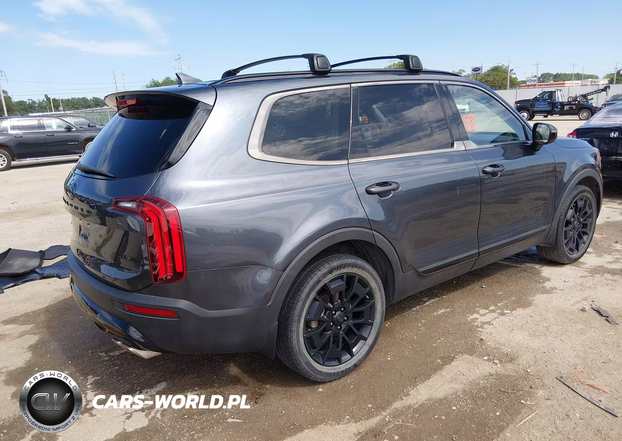2021 Kia Telluride Sx VIN:5XYP5DHCXMG106056 - 4