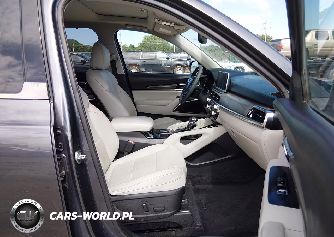 2021 Kia Telluride Sx VIN:5XYP5DHCXMG106056 - 5