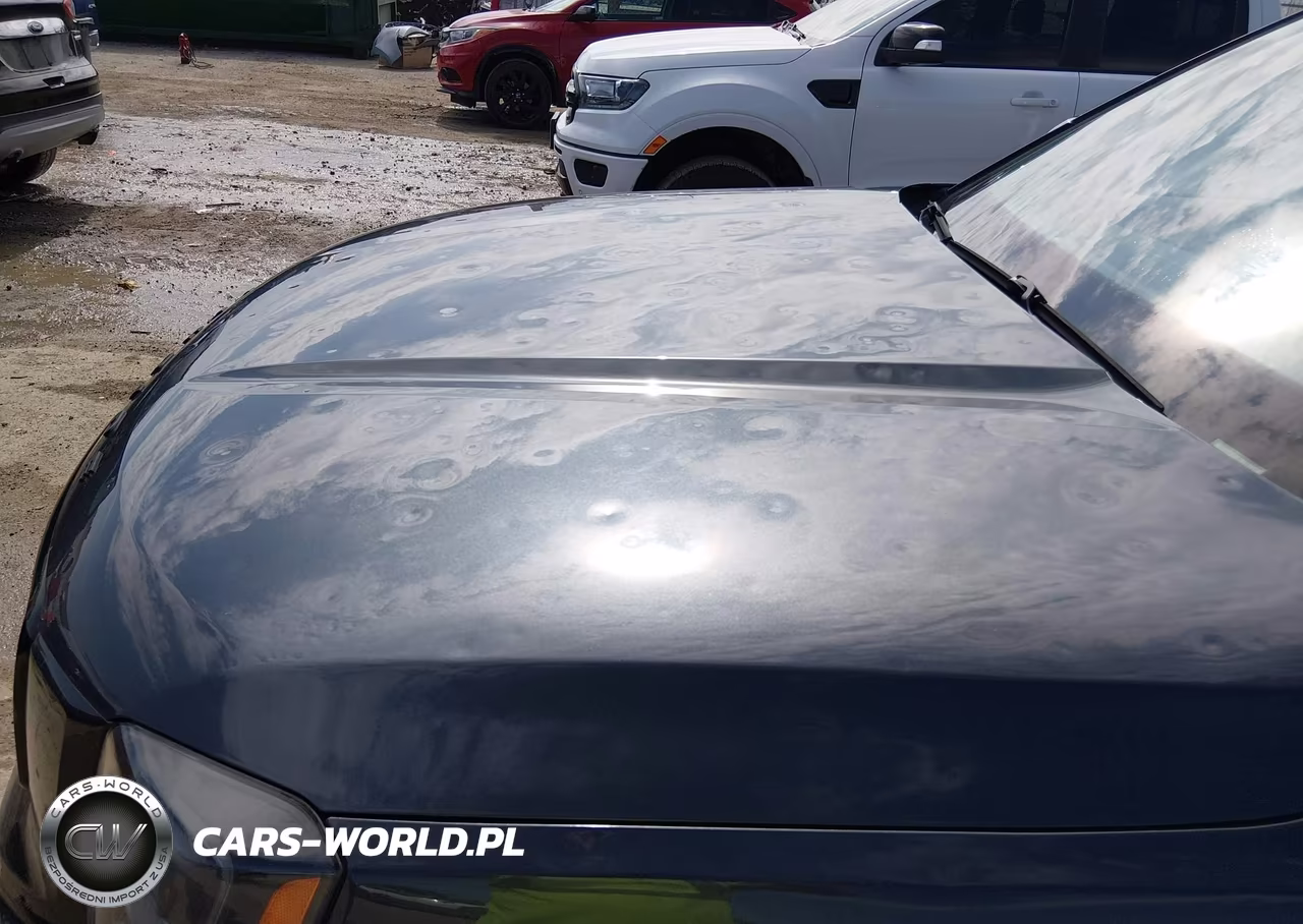 2021 Kia Telluride Sx VIN:5XYP5DHCXMG106056 - 6