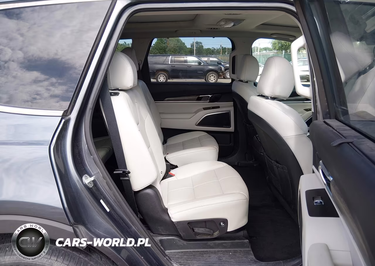2021 Kia Telluride Sx VIN:5XYP5DHCXMG106056 - 8