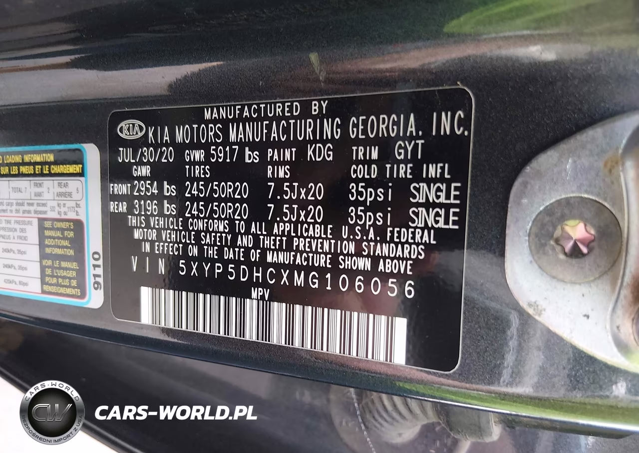 2021 Kia Telluride Sx VIN:5XYP5DHCXMG106056 - 9