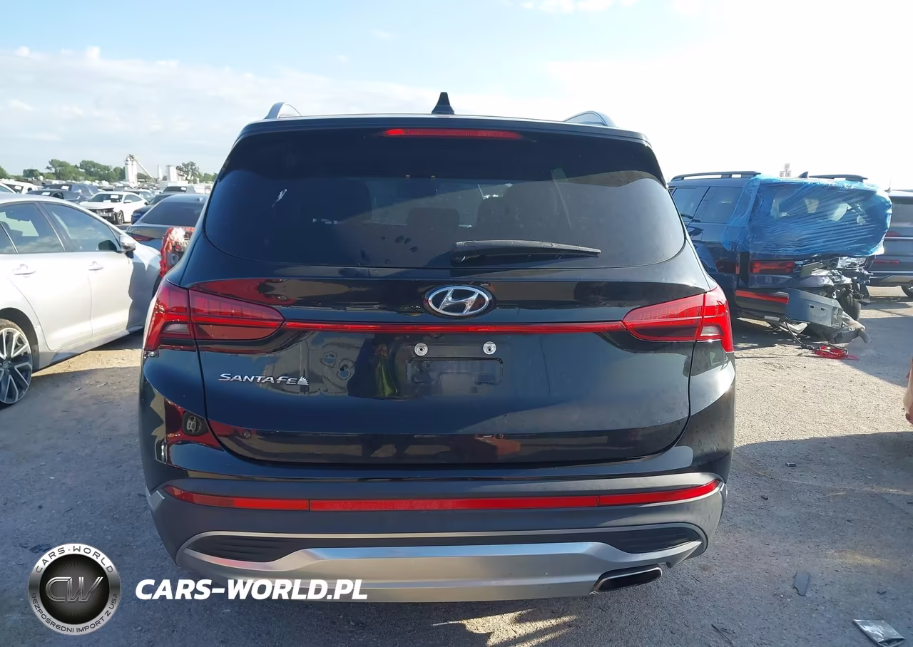 2021 Hyundai Santa Fe Sel VIN:5NMS64AJ1MH303641 - 16
