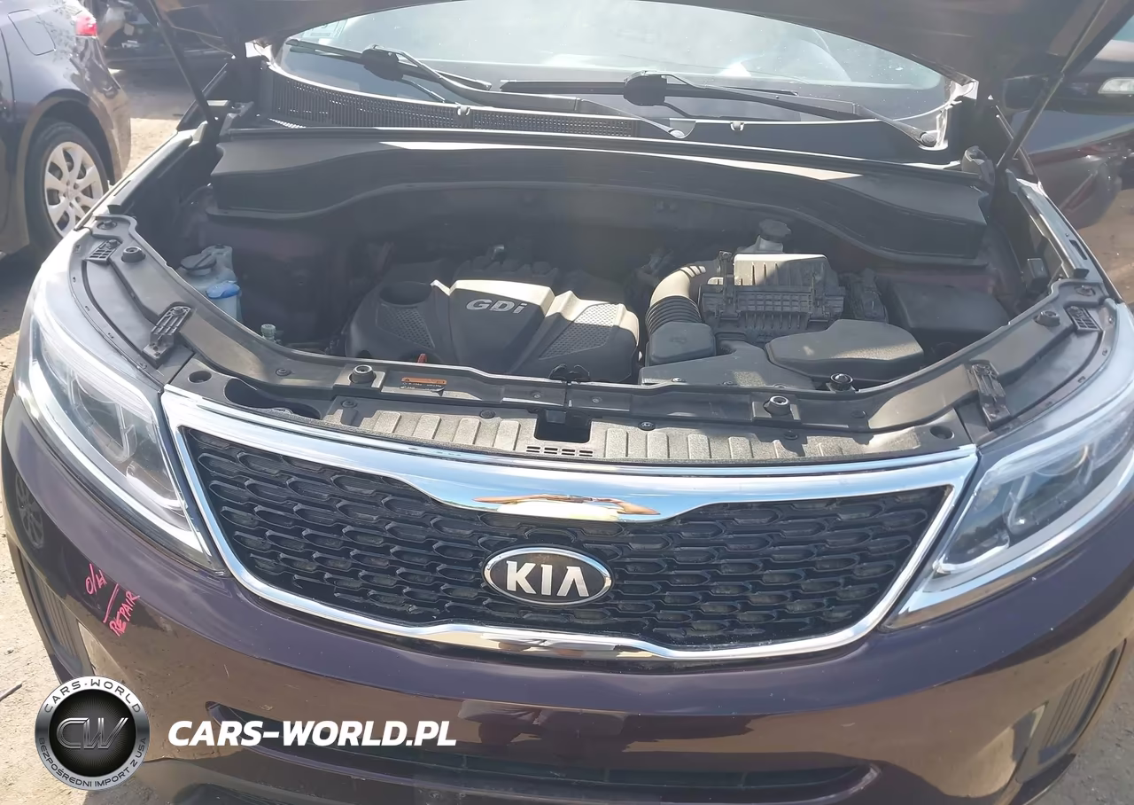 2014 Kia Sorento Lx VIN:5XYKTCA69EG429434 - 10