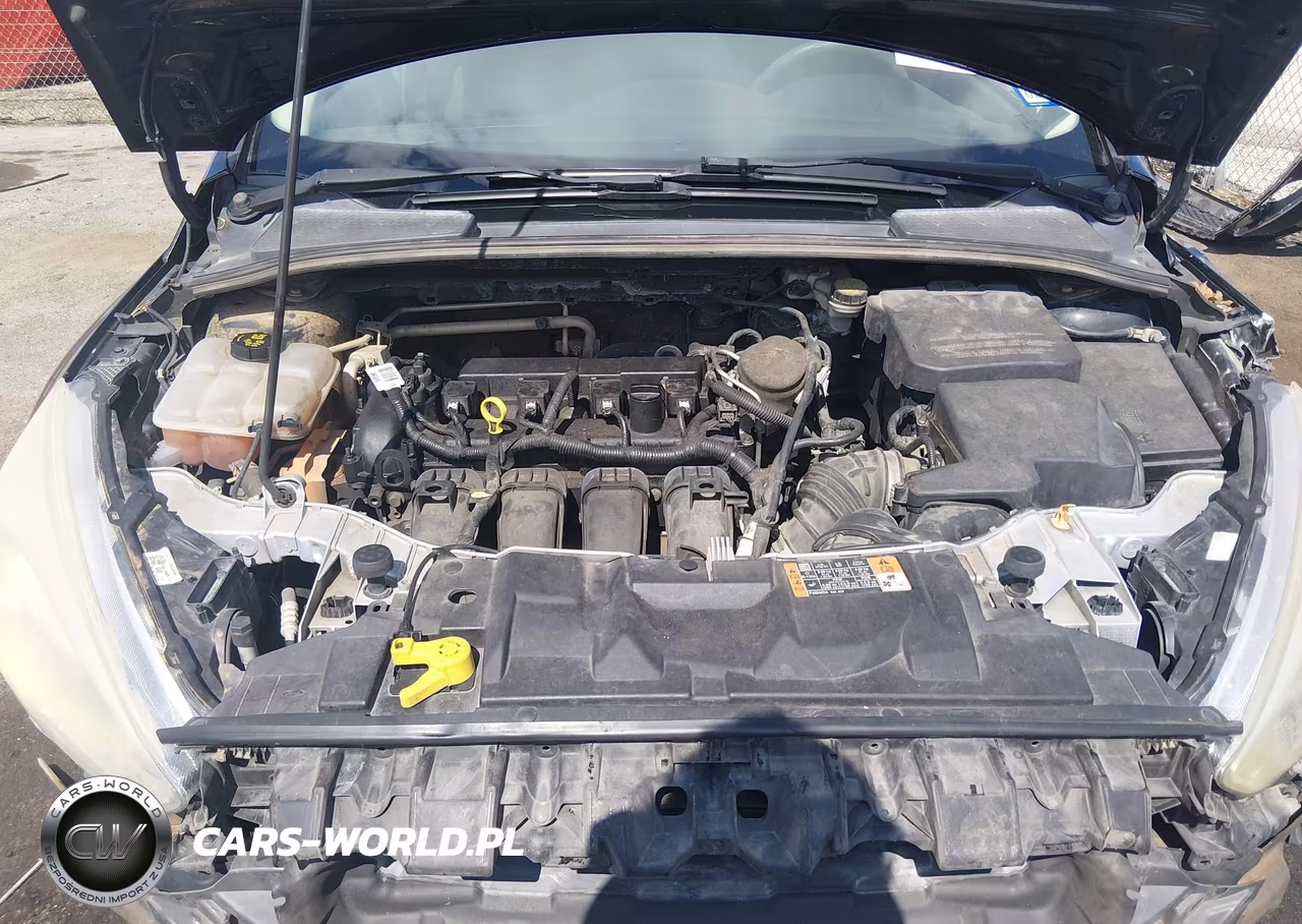 2015 Ford Focus Se VIN:1FADP3F25FL244943 - 10