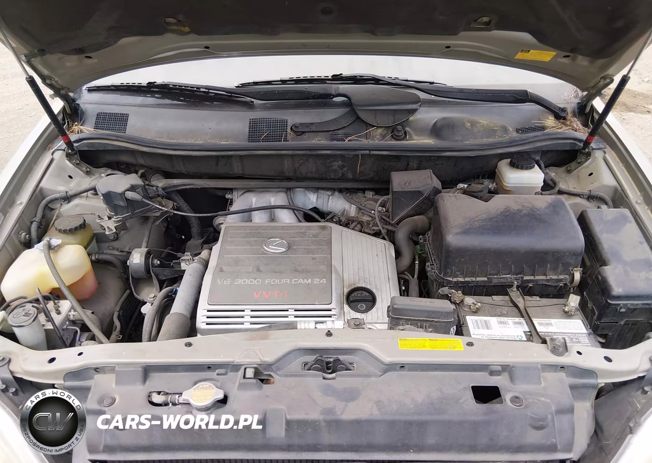 2002 Lexus Rx 300 VIN:JTJHF10U320251718 - 10
