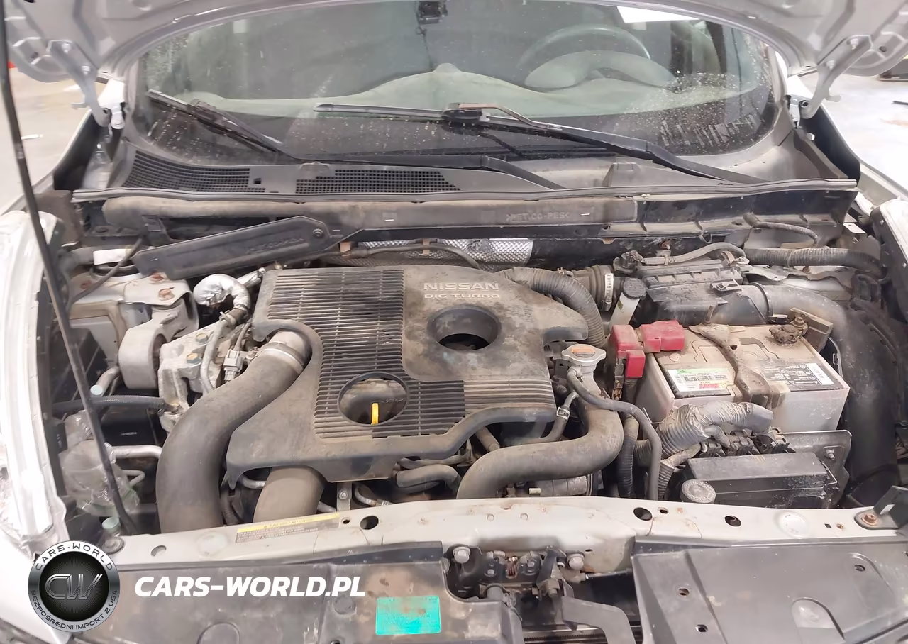 2013 Nissan Juke S VIN:JN8AF5MV3DT231425 - 10