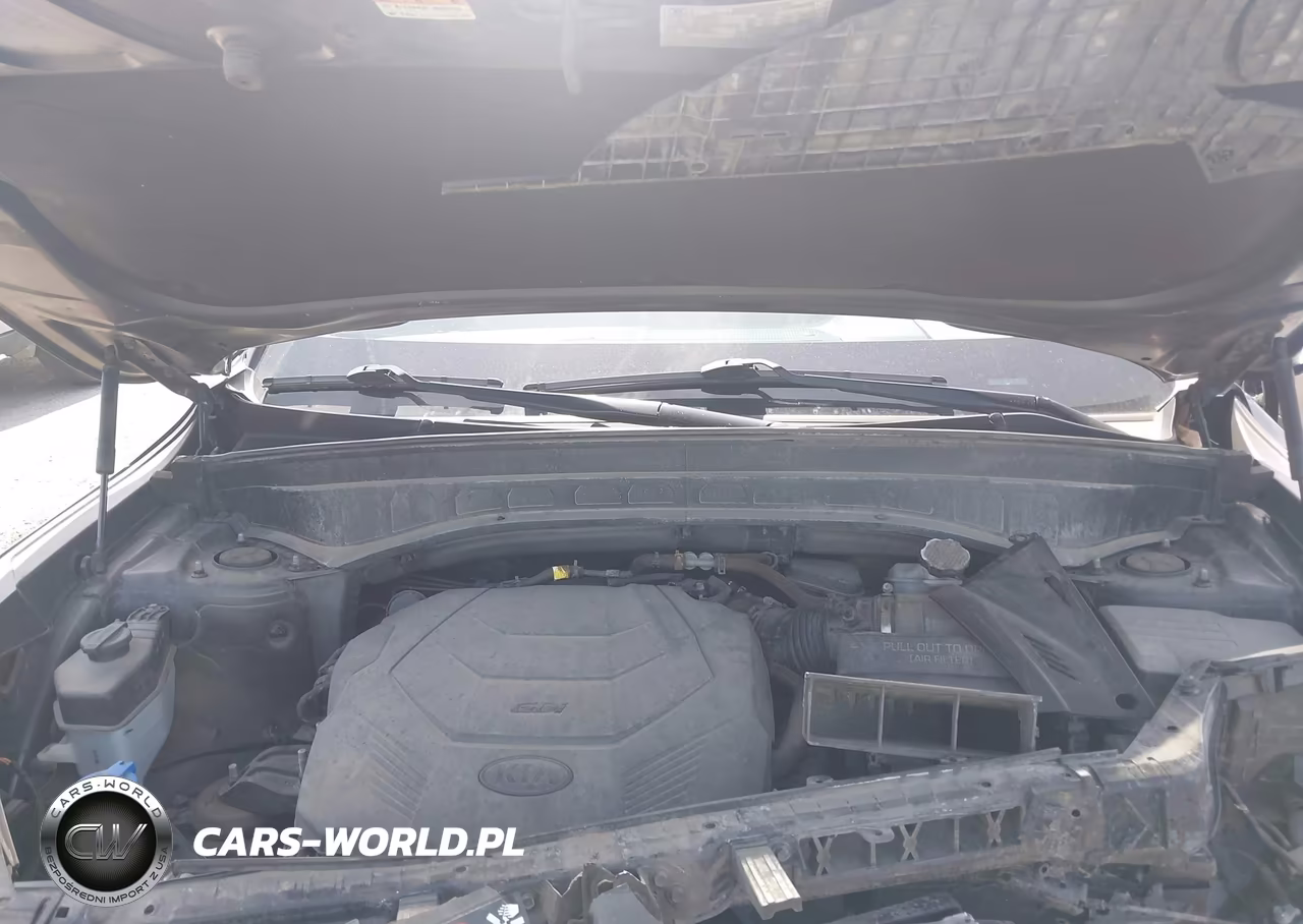 2020 Kia Telluride Ex VIN:5XYP3DHC5LG032727 - 10