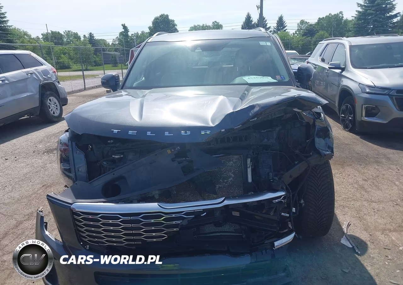 2020 Kia Telluride Ex VIN:5XYP3DHC5LG032727 - 12