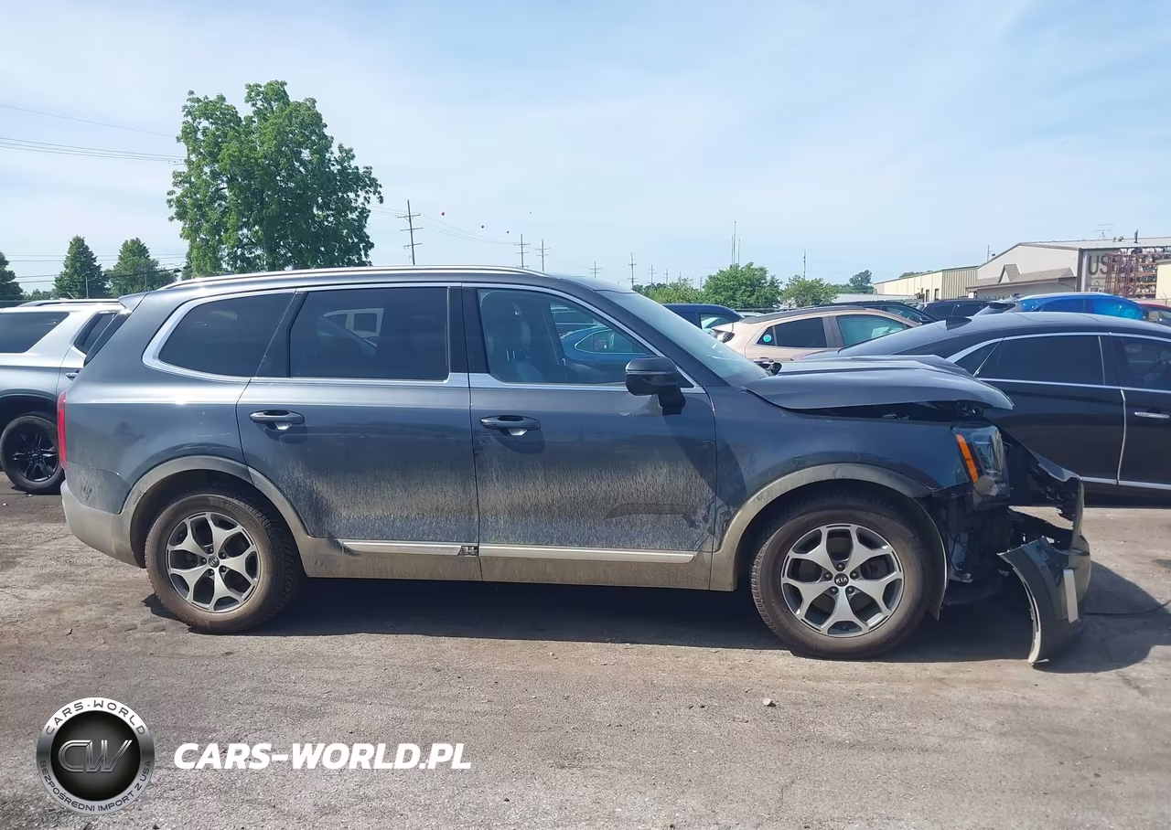 2020 Kia Telluride Ex VIN:5XYP3DHC5LG032727 - 13