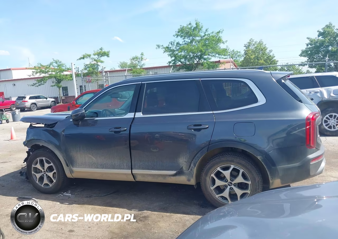 2020 Kia Telluride Ex VIN:5XYP3DHC5LG032727 - 14