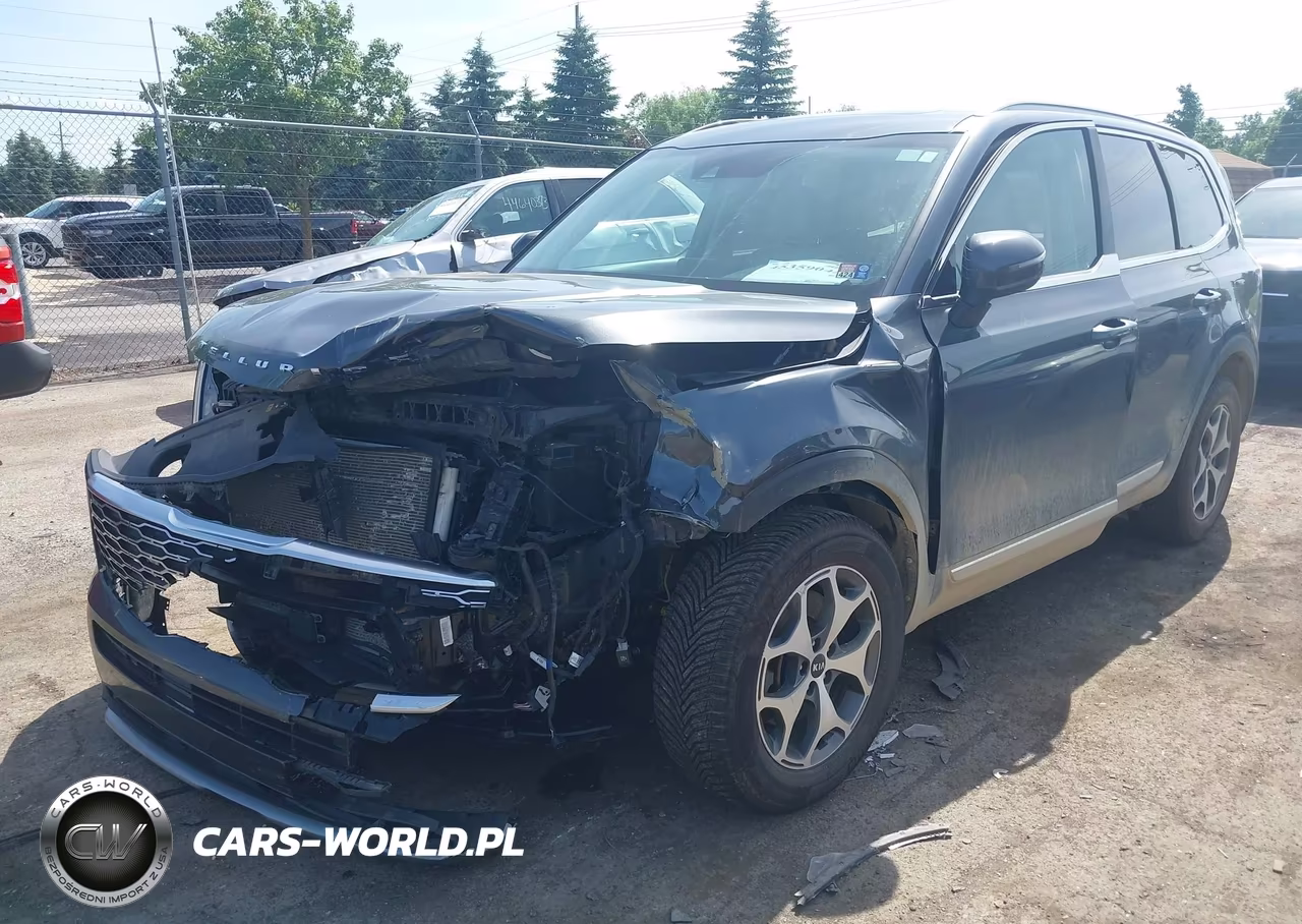 2020 Kia Telluride Ex VIN:5XYP3DHC5LG032727 - 2