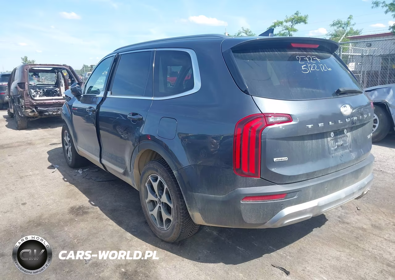 2020 Kia Telluride Ex VIN:5XYP3DHC5LG032727 - 3