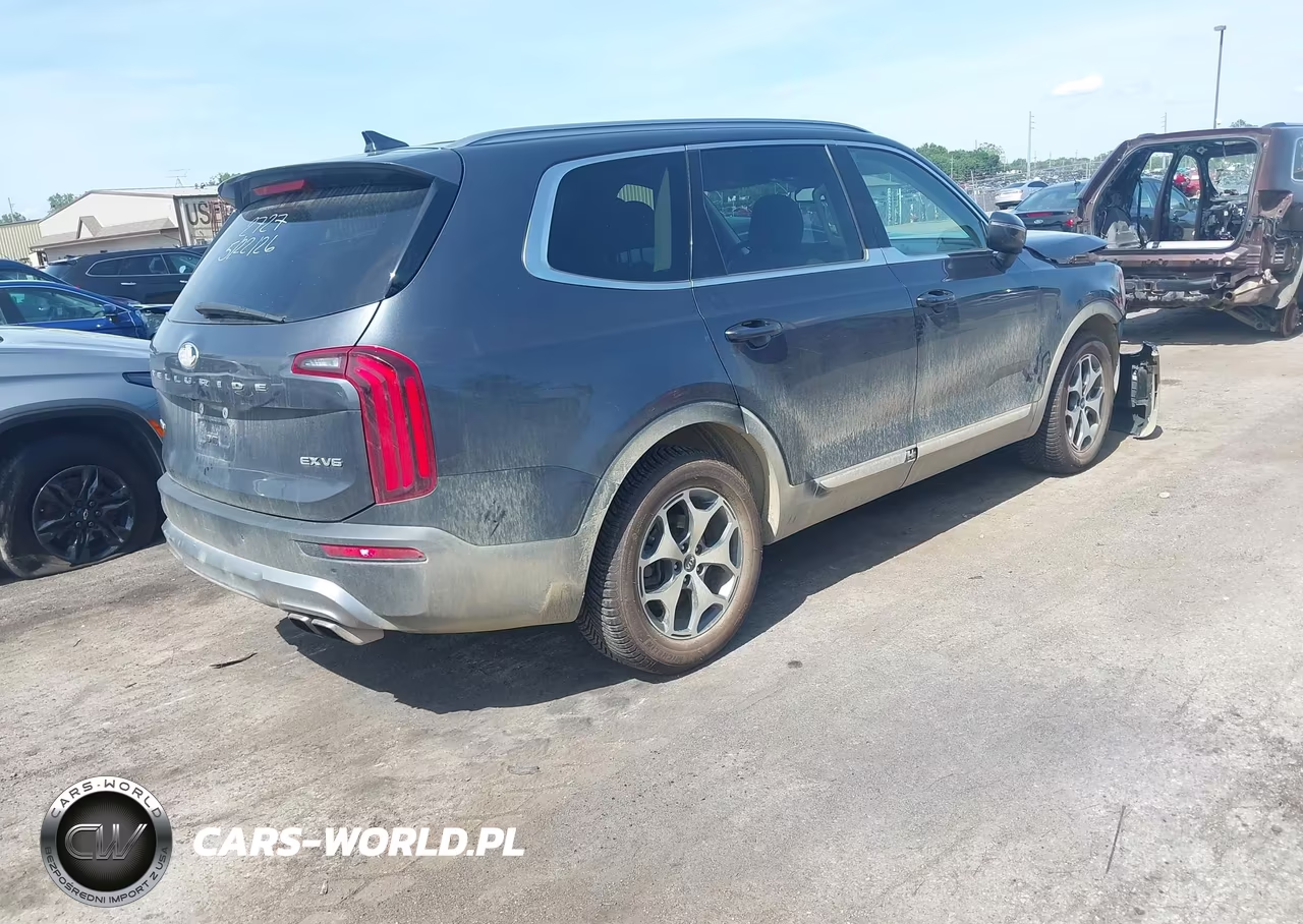 2020 Kia Telluride Ex VIN:5XYP3DHC5LG032727 - 4
