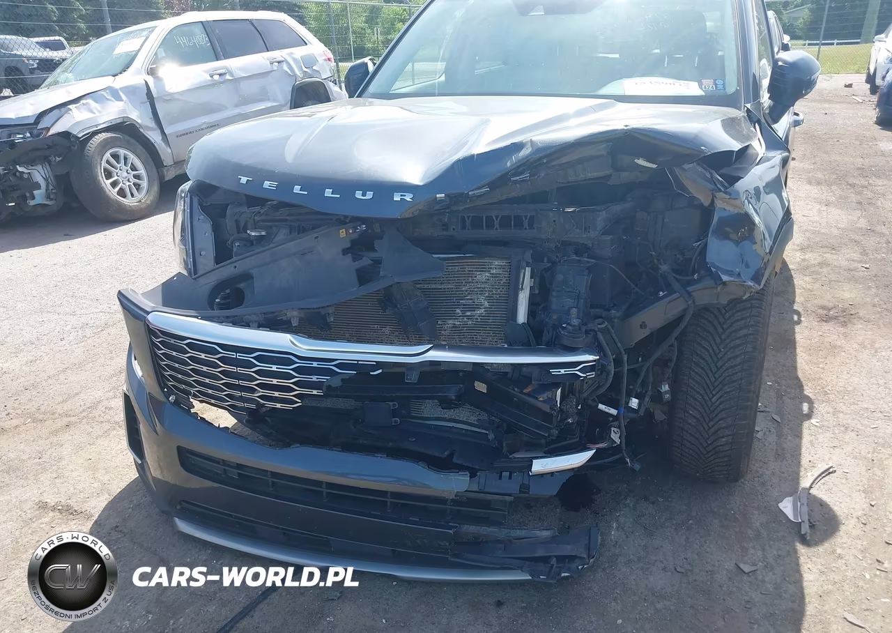 2020 Kia Telluride Ex VIN:5XYP3DHC5LG032727 - 6