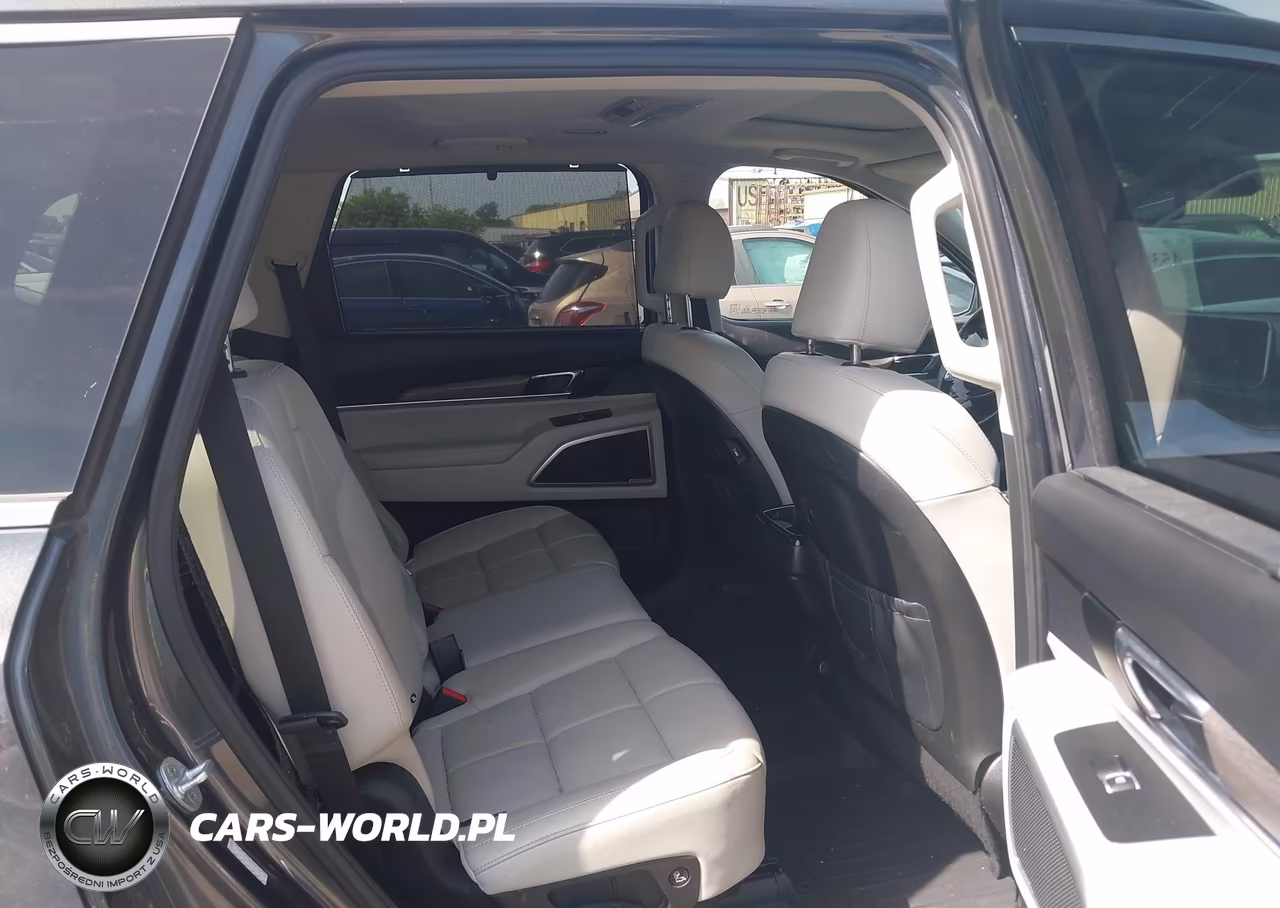 2020 Kia Telluride Ex VIN:5XYP3DHC5LG032727 - 8