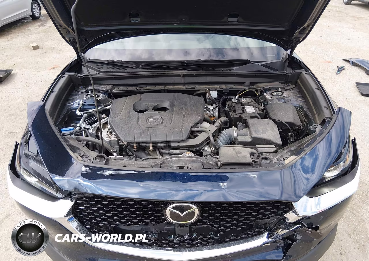 2024 Mazda Cx-30 2.5 S Preferred Package VIN:3MVDMBCM7RM718024 - 10