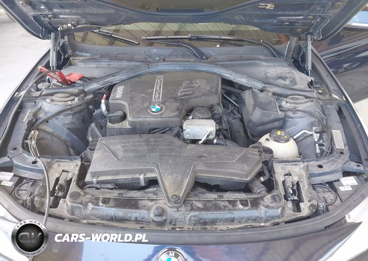 2014 BMW 428I VIN:WBA3N7C55EK221021 - 10