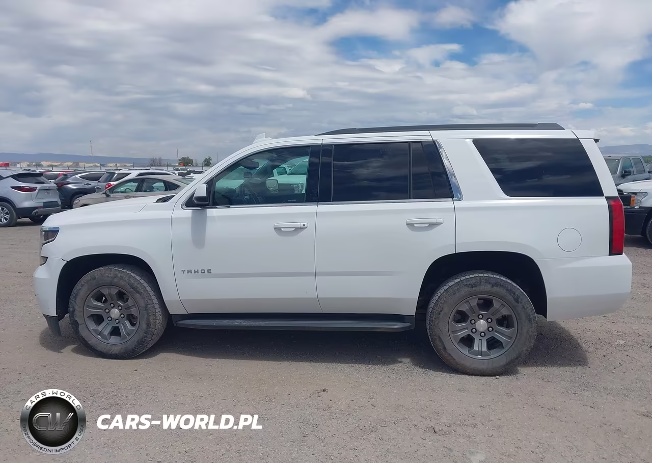 2019 Chevrolet Tahoe Ls VIN:1GNSKAEC2KR103471 - 17