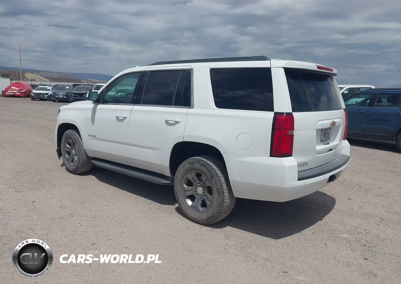2019 Chevrolet Tahoe Ls VIN:1GNSKAEC2KR103471 - 3
