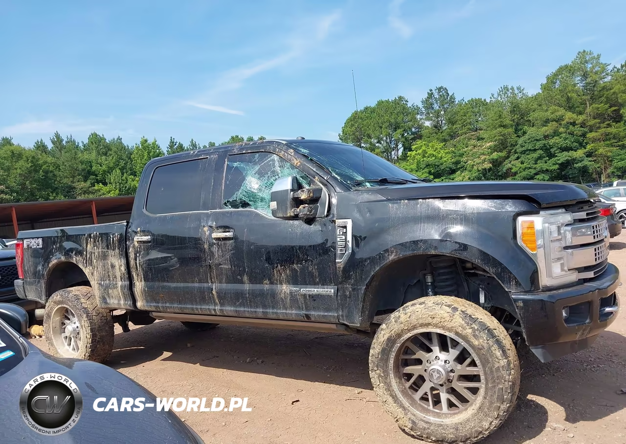2017 Ford F-250 Platinum VIN:1FT7W2BT3HEE75835 - 13