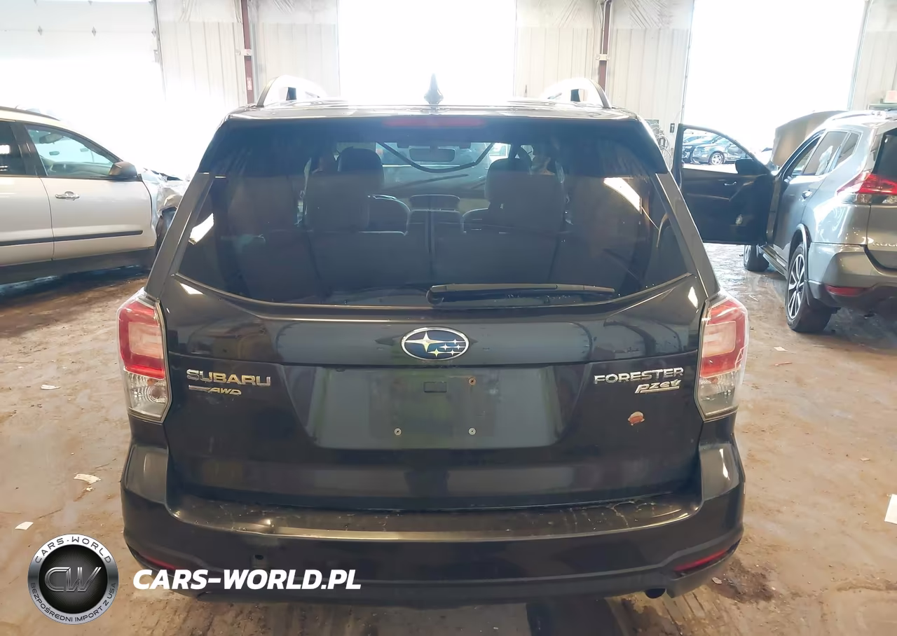2017 Subaru Forester 2.5I Premium VIN:JF2SJAGC2HH501465 - 16