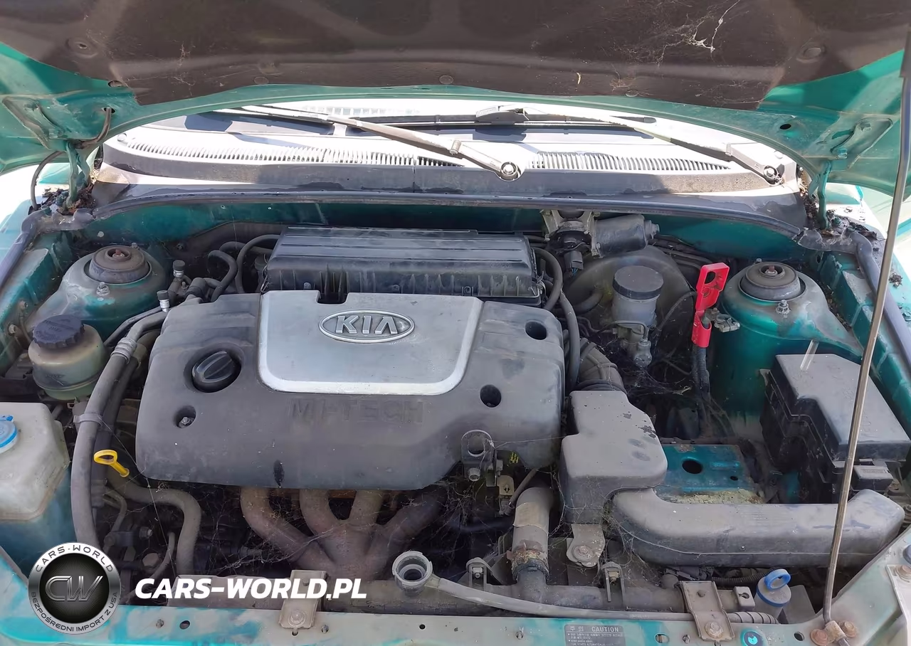2001 Kia Rio VIN:KNADC123316038288 - 10
