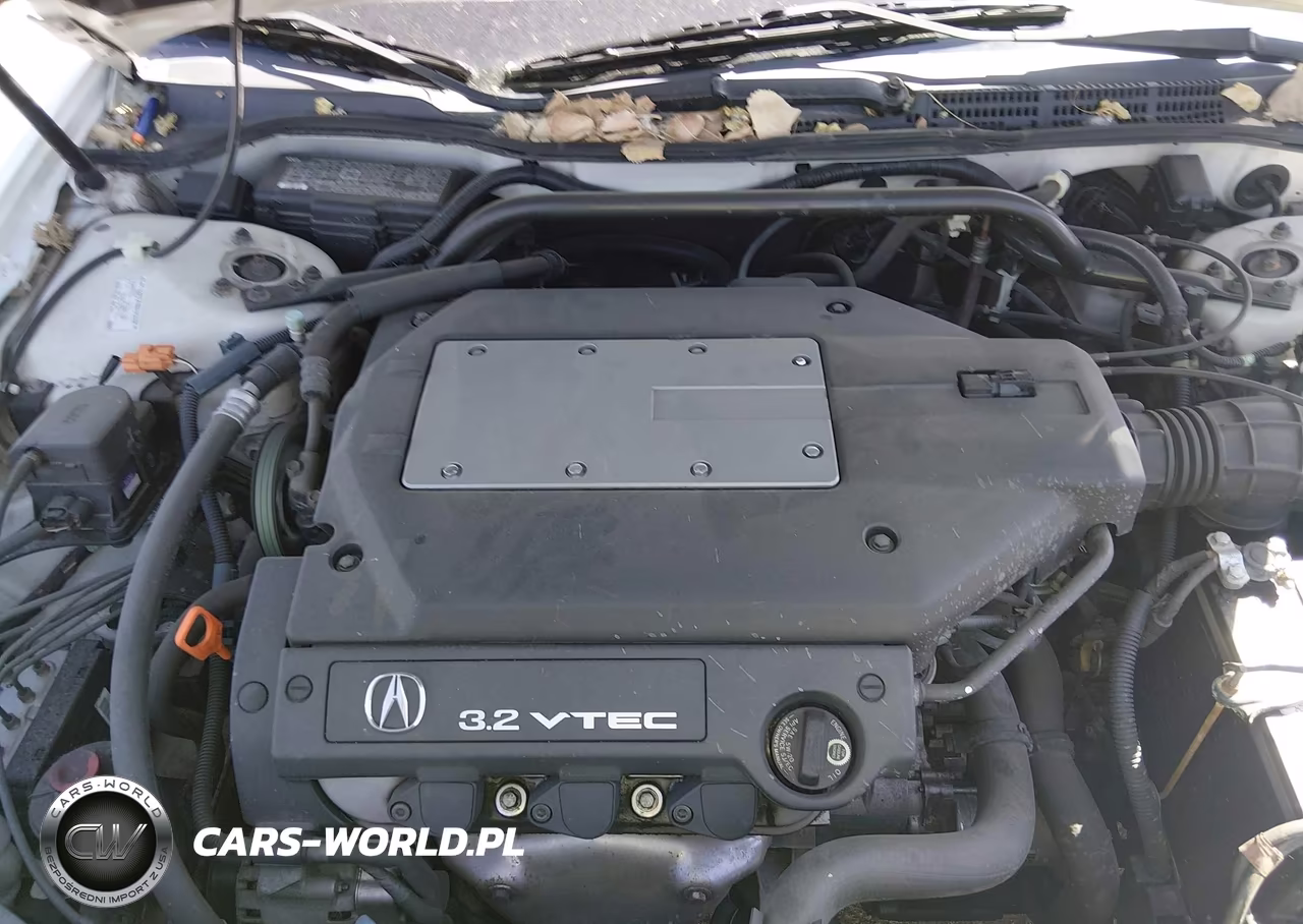 2002 Acura Tl 3.2 VIN:19UUA56652A025594 - 10