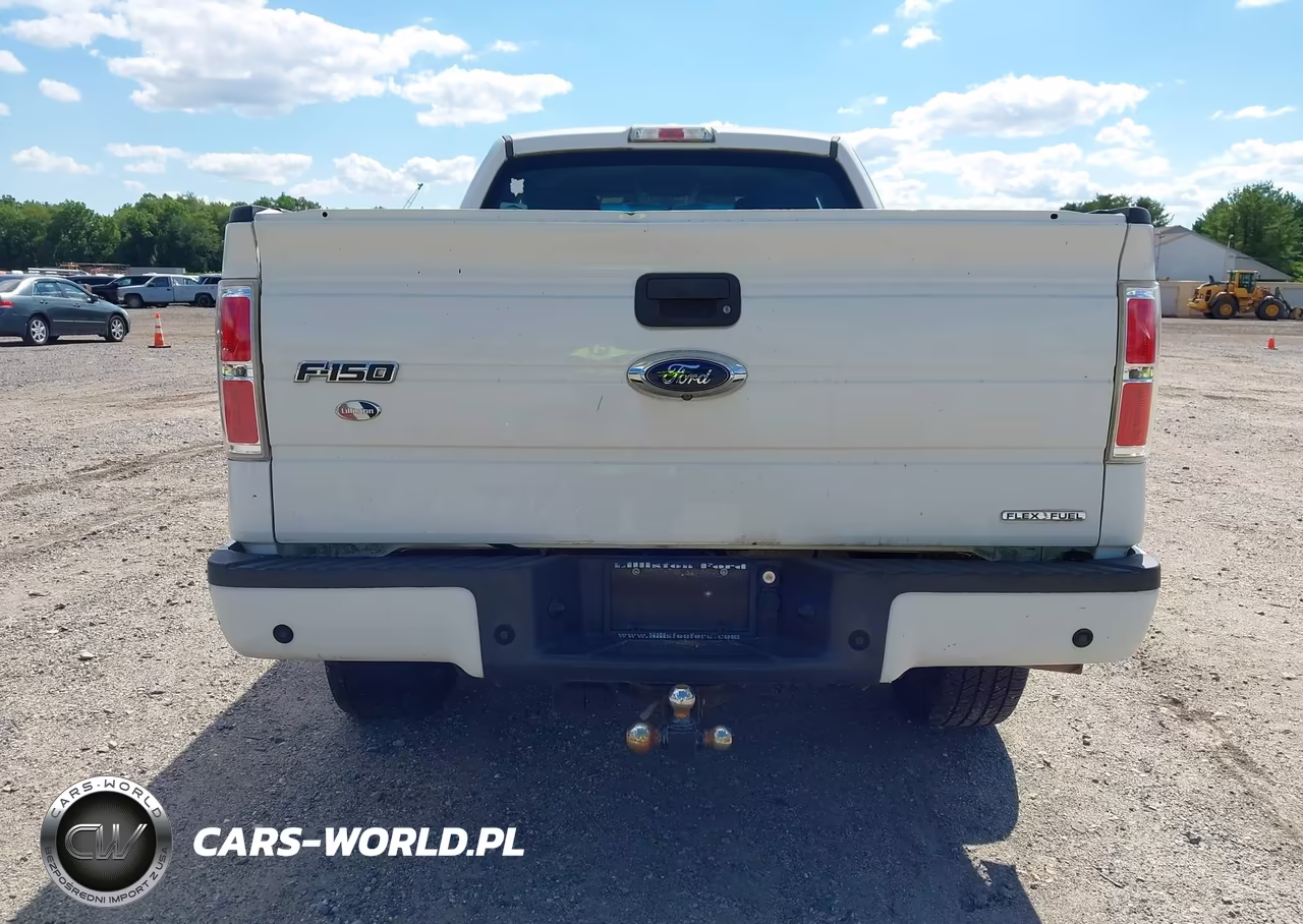 2014 Ford F-150 Stx VIN:1FTEX1EMXEFC59537 - 17