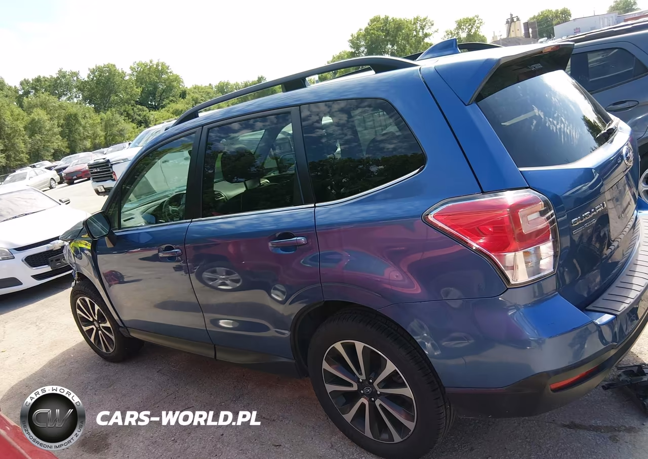 2017 Subaru Forester 2.0Xt Premium VIN:JF2SJGEC6HH503869 - 15