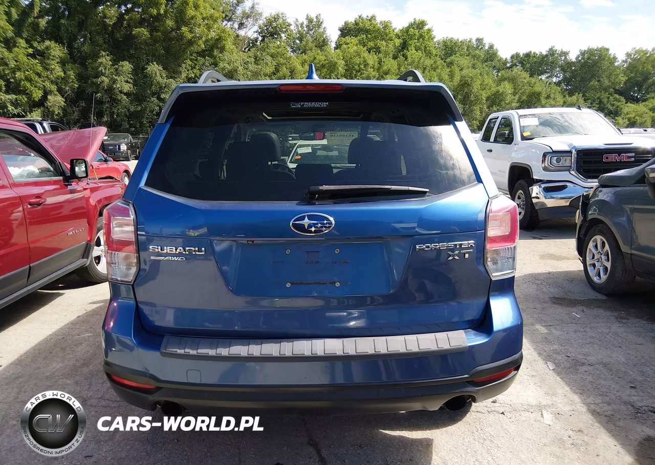 2017 Subaru Forester 2.0Xt Premium VIN:JF2SJGEC6HH503869 - 17