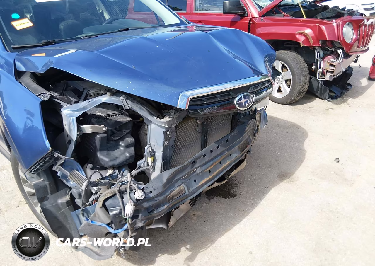 2017 Subaru Forester 2.0Xt Premium VIN:JF2SJGEC6HH503869 - 19