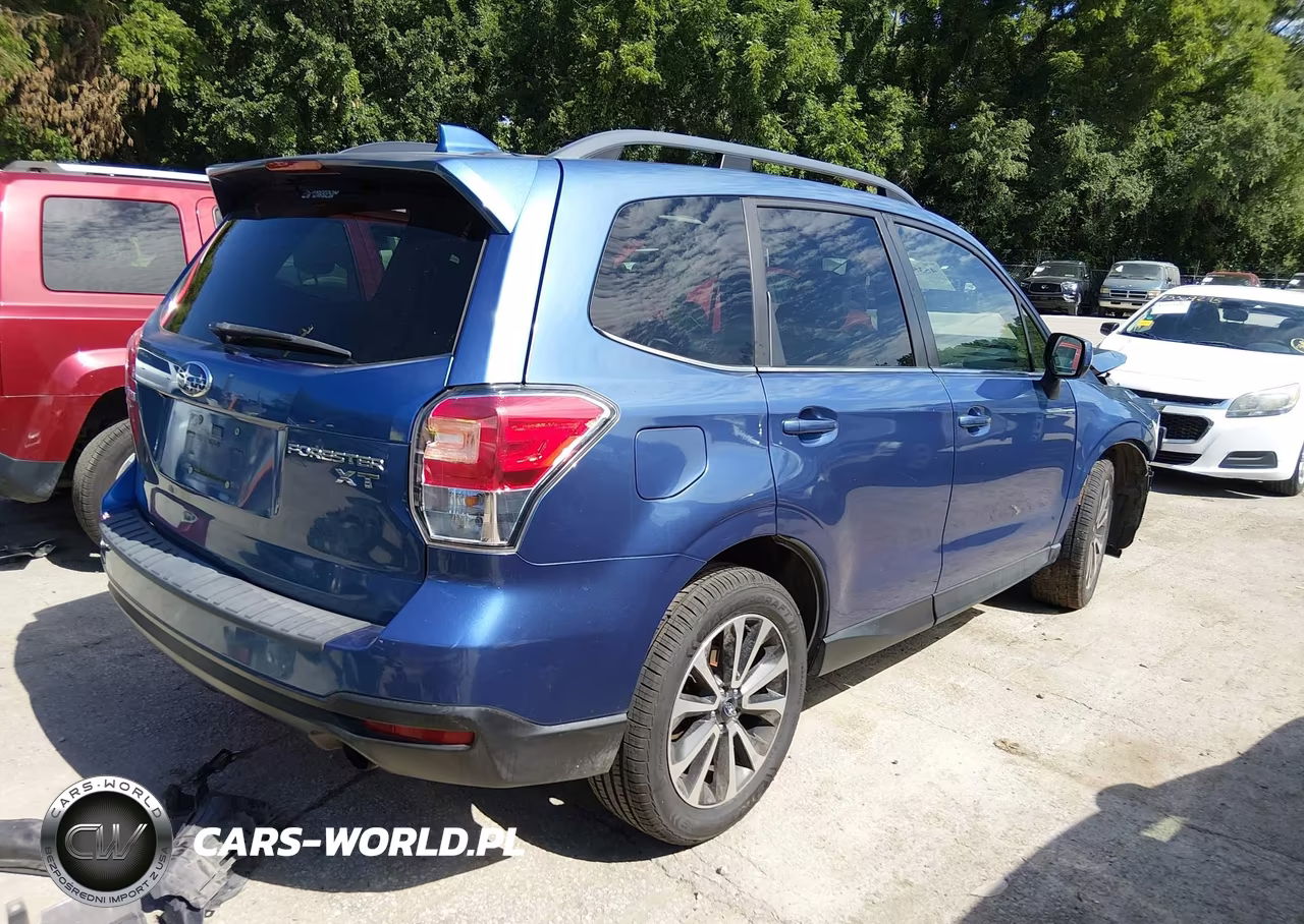 2017 Subaru Forester 2.0Xt Premium VIN:JF2SJGEC6HH503869 - 4
