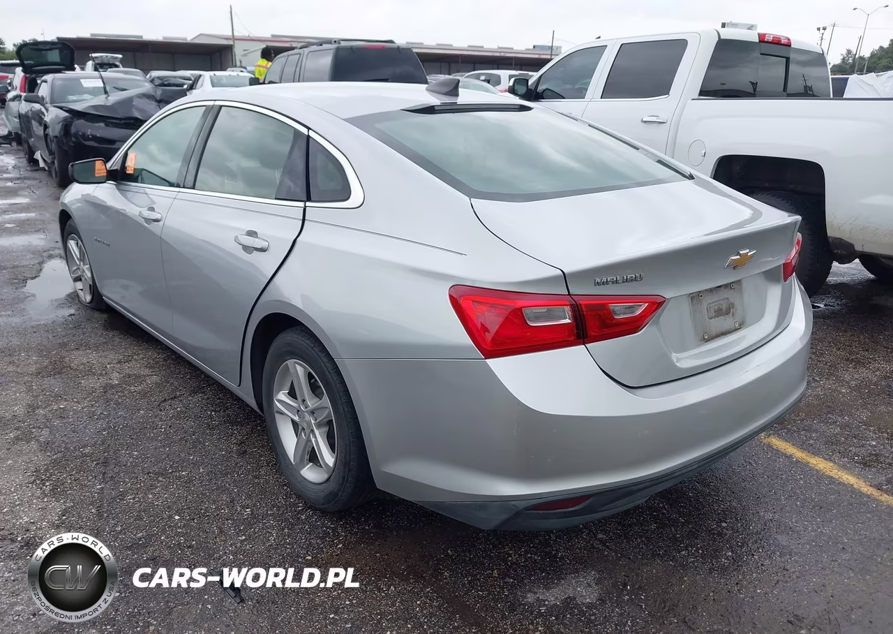2019 Chevrolet Malibu 1Ls VIN:1G1ZB5ST6KF187680 - 3