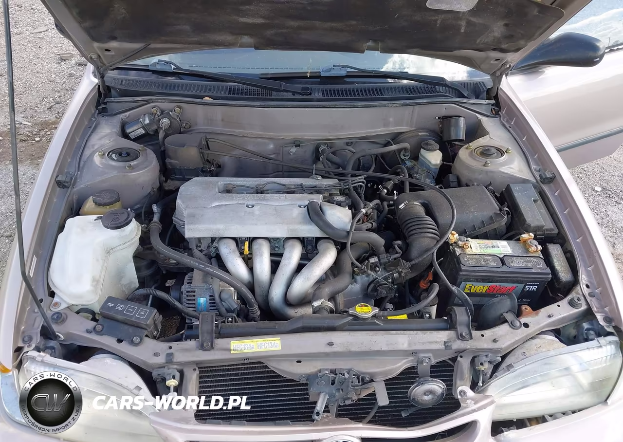 1998 Toyota Corolla Ce VIN:1NXBR12E7WZ113857 - 10