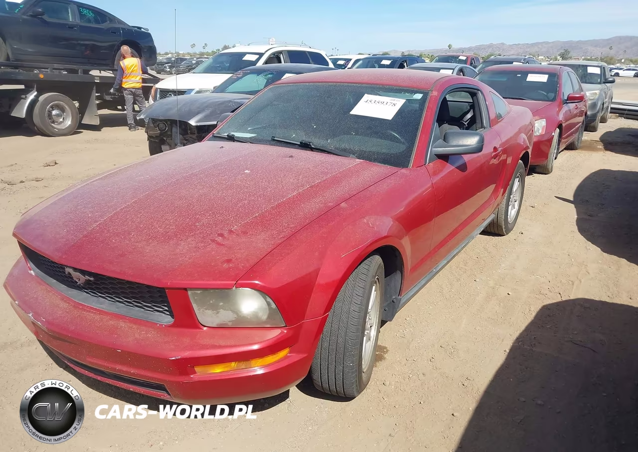 2008 Ford Mustang V6 Deluxe-V6 Premium VIN:1ZVHT80N585166112 - 2