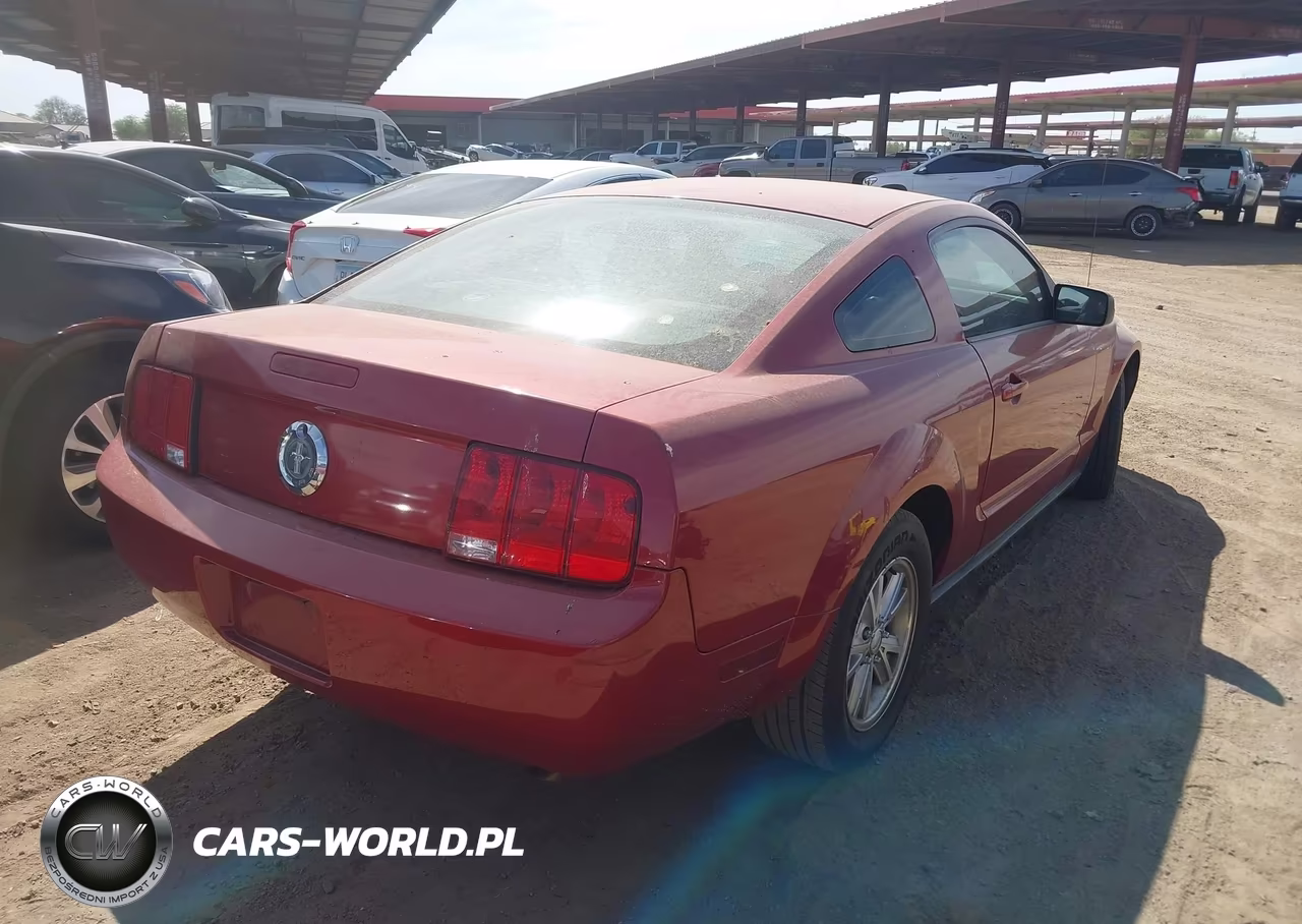 2008 Ford Mustang V6 Deluxe-V6 Premium VIN:1ZVHT80N585166112 - 4