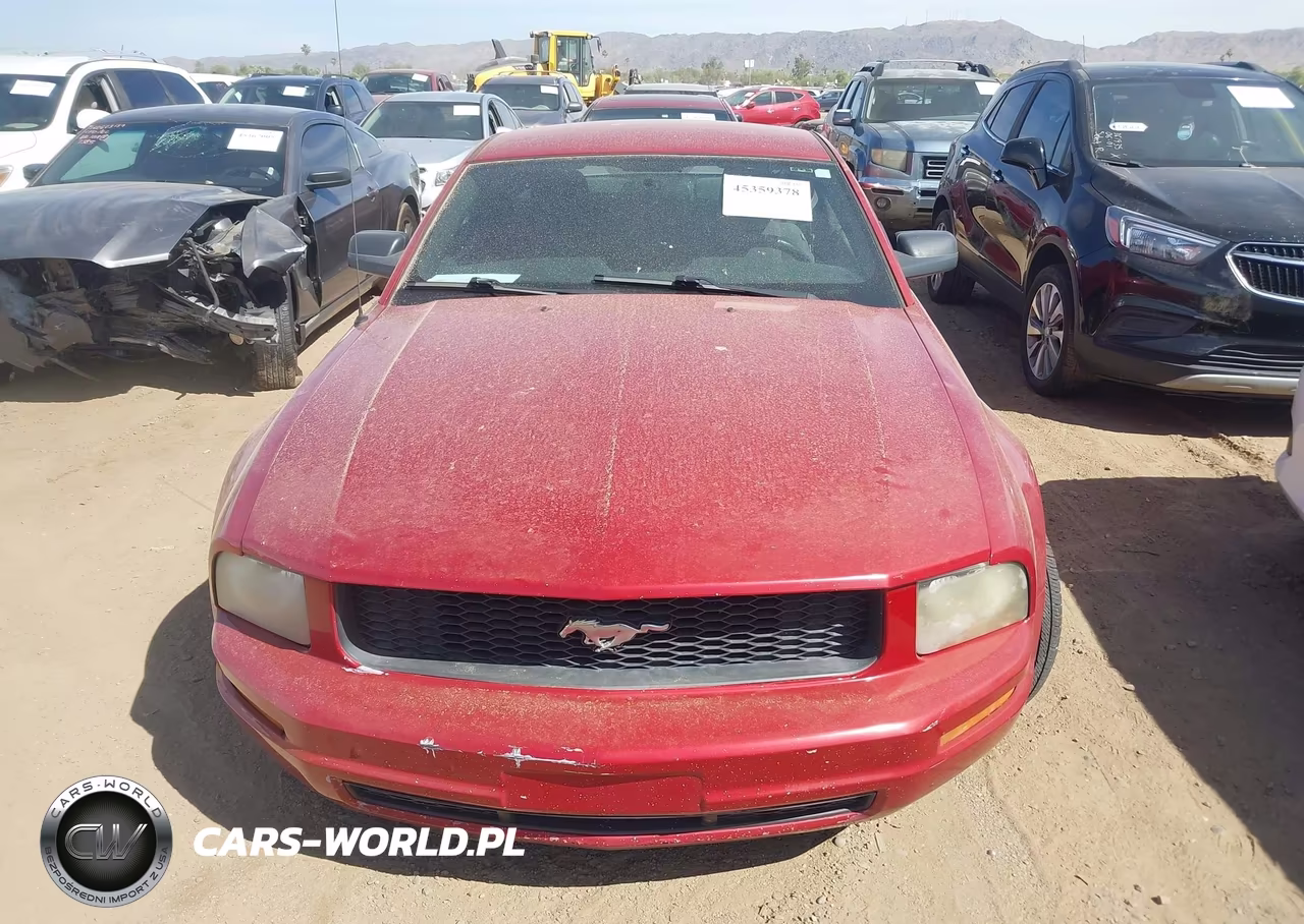 2008 Ford Mustang V6 Deluxe-V6 Premium VIN:1ZVHT80N585166112 - 6