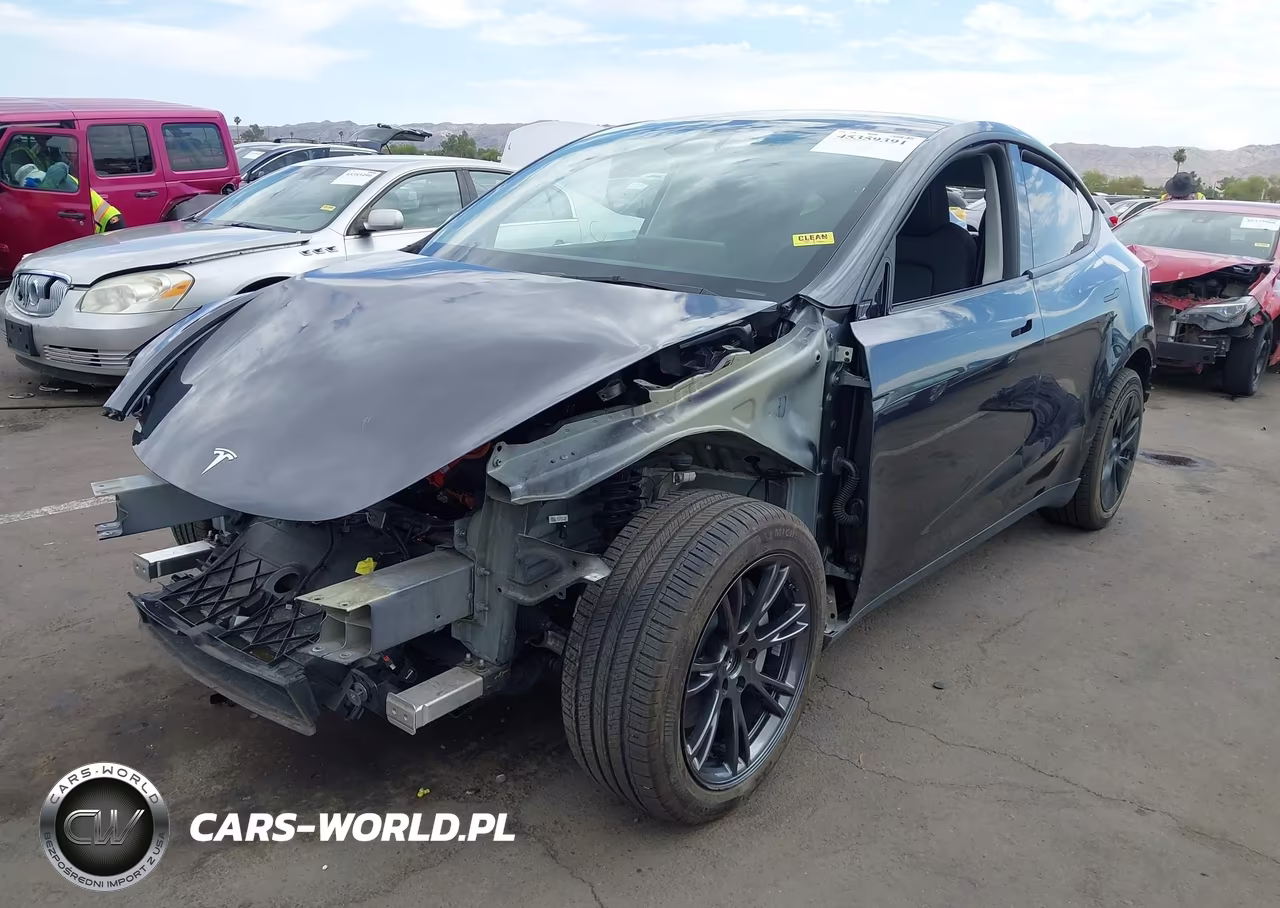 2025 Tesla Model Y Long Range Dual Motor Rear-Wheel Drive VIN:7SAYGDED8SF269260 - 2