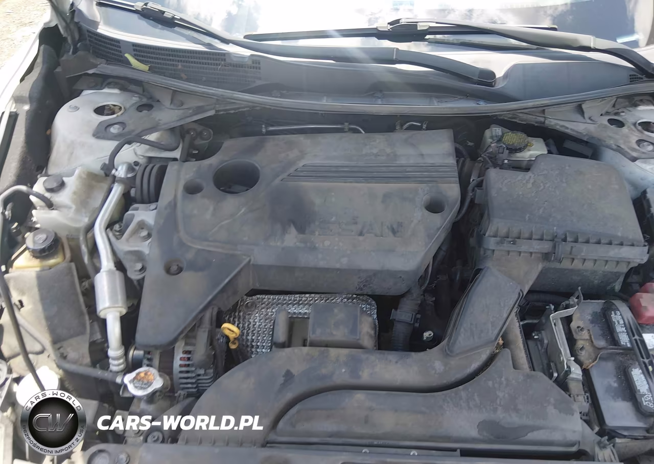 2016 Nissan Altima 2.5 Sl VIN:1N4AL3AP4GC264667 - 10
