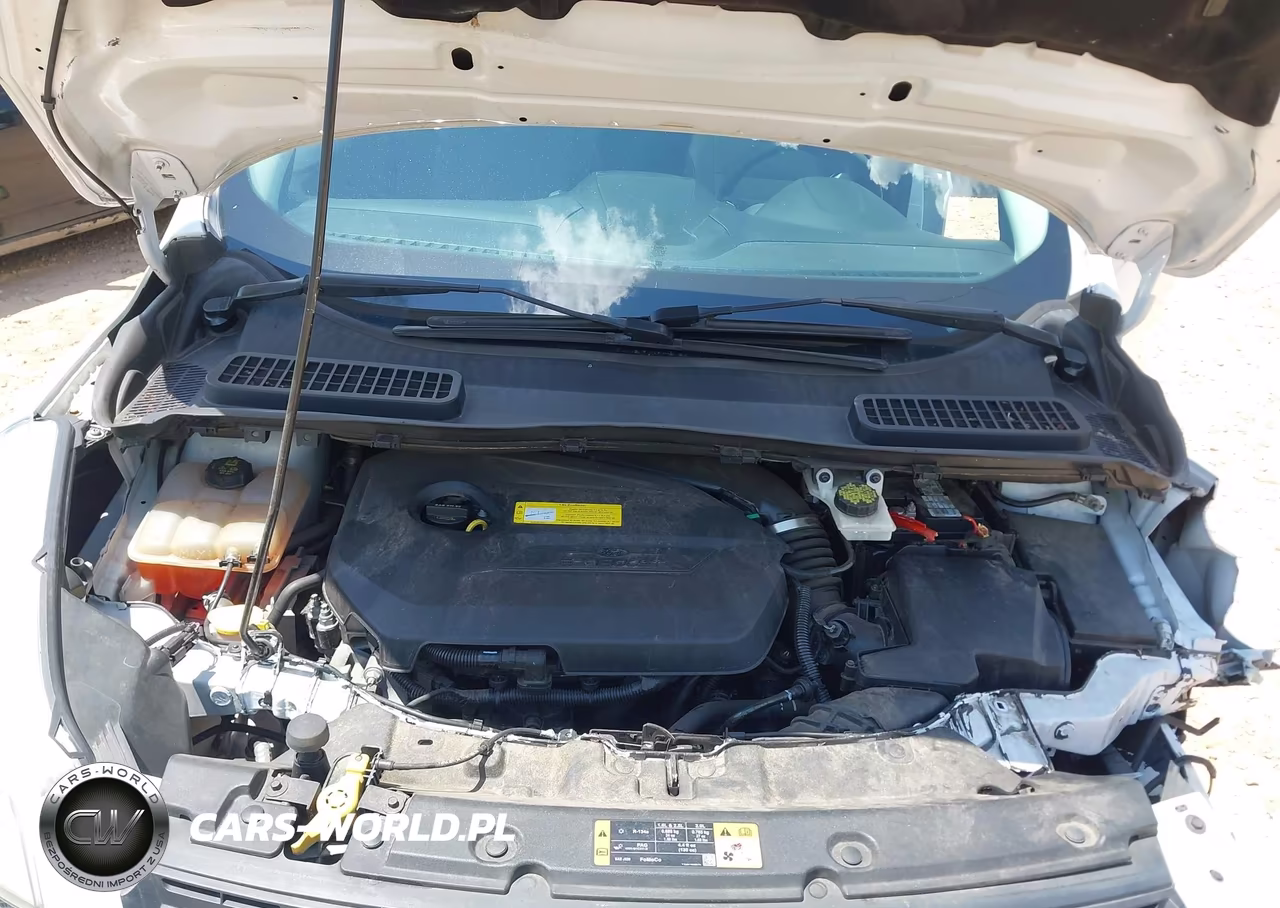 2016 Ford Escape Se VIN:1FMCU0GX1GUB19601 - 10