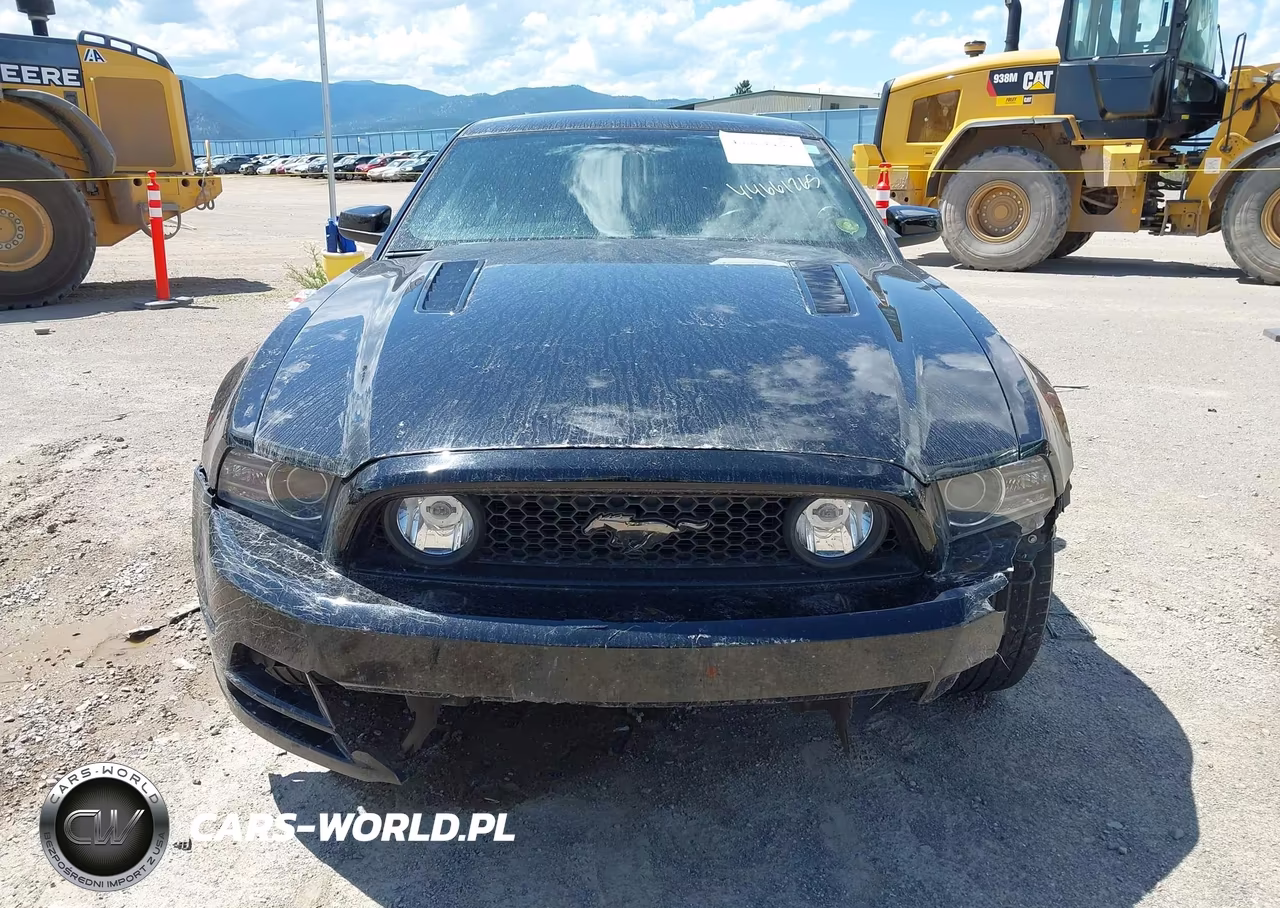 2013 Ford Mustang Gt Premium VIN:1ZVBP8CFXD5218892 - 12