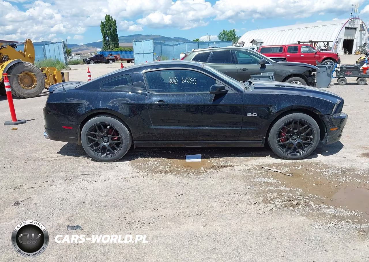2013 Ford Mustang Gt Premium VIN:1ZVBP8CFXD5218892 - 13